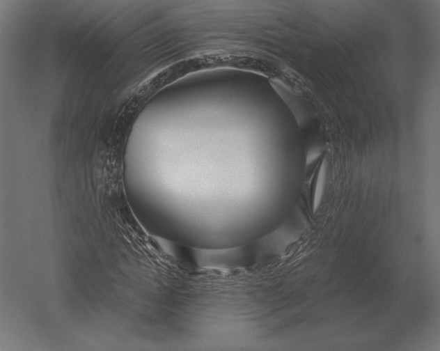 X0000051270822200507011742