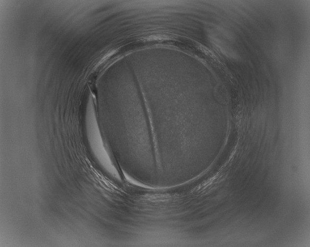 X0000051270825200507011742