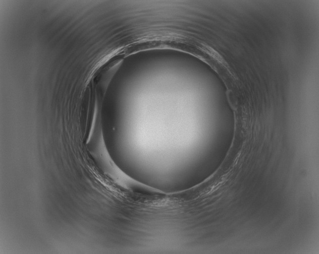 X0000051270826200507011742