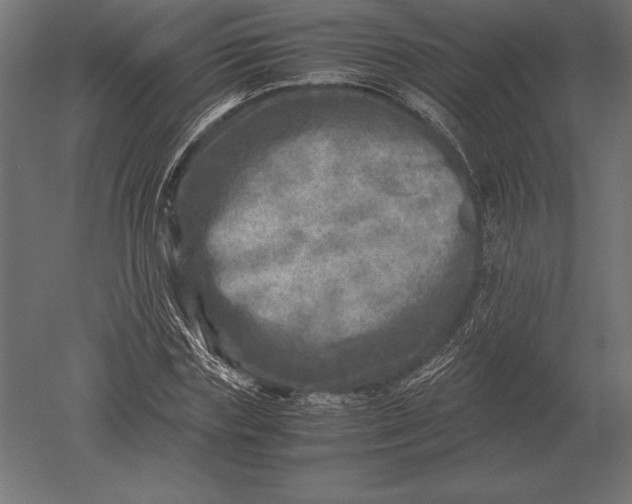 X0000051270827200507011742