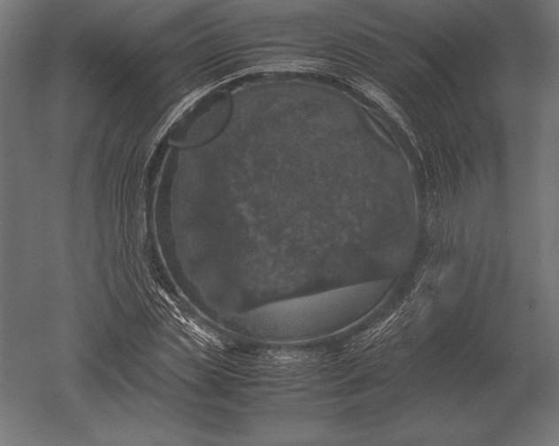 X0000051270829200507011742