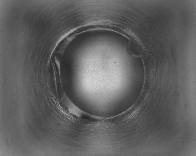 X0000051270830200507011742
