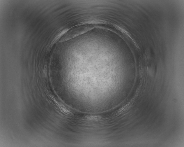 X0000051270833200507011742