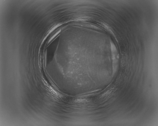 X0000051270835200507011742