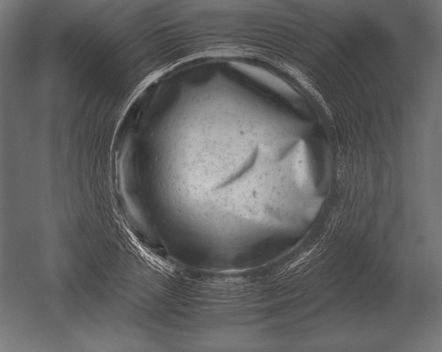 X0000051270837200507011742