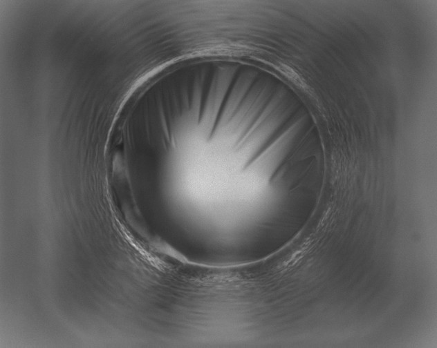 X0000051270838200507011742
