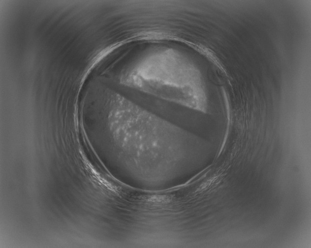 X0000051270839200507011743