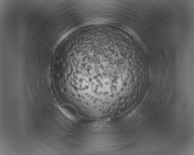 X0000051270842200507011743