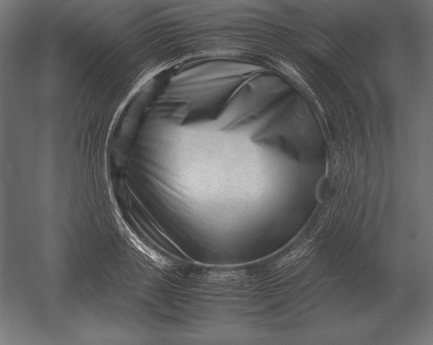 X0000051270843200507011743