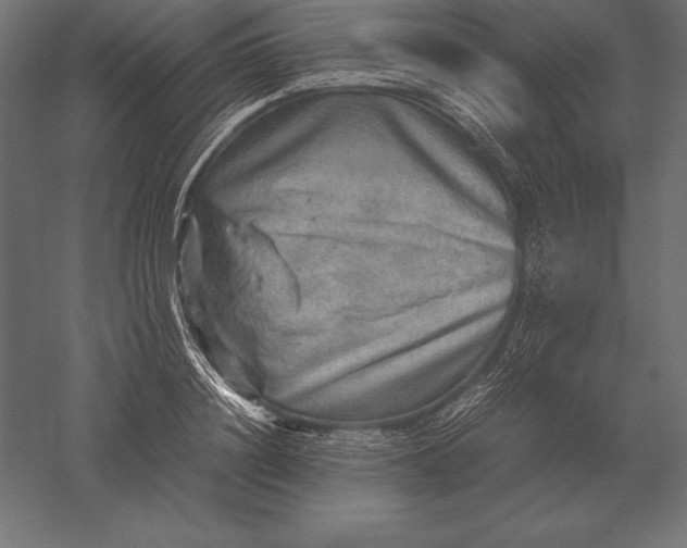 X0000051270844200507011743