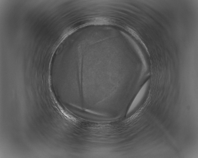 X0000051270845200507011743