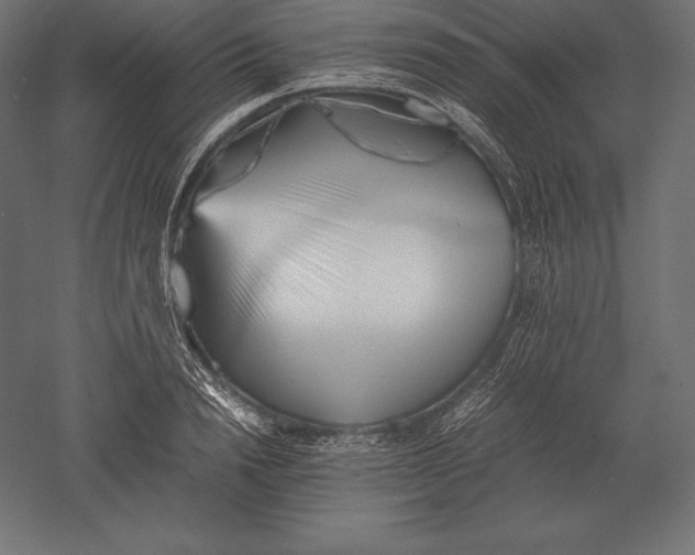 X0000051270846200507011743