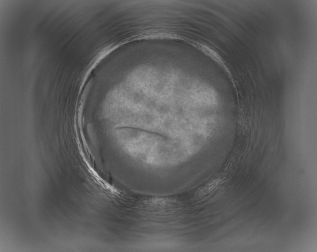X0000051270847200507011743
