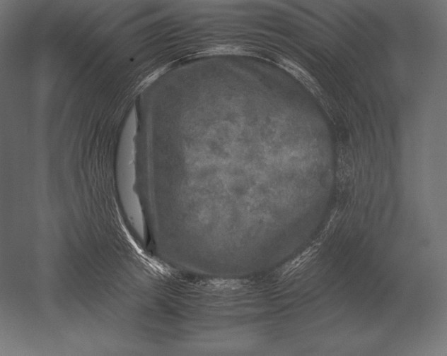 X0000051270849200507011743