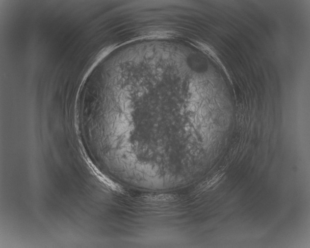 X0000051270851200507011743