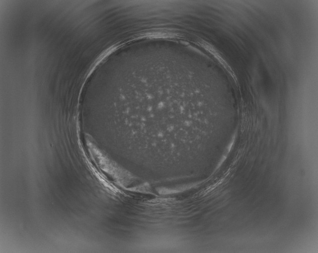 X0000051270853200507011743