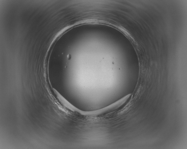 X0000051270854200507011743