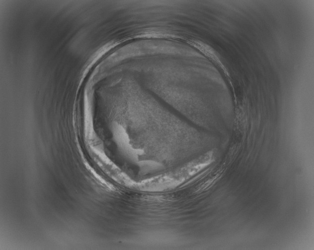 X0000051270855200507011743