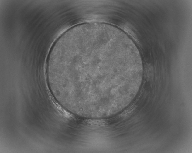 X0000051270856200507011743