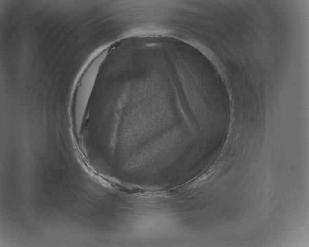 X0000051270864200507011743