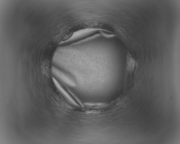 X0000051270867200507011742