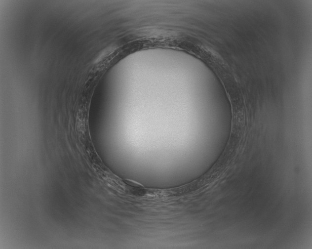 X0000051270869200507011742