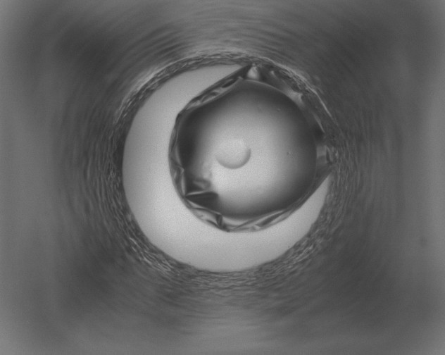 X0000051270871200507011742