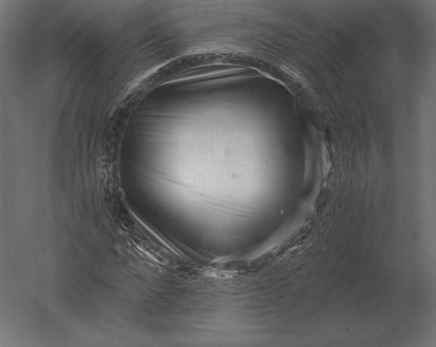 X0000051270872200507011742