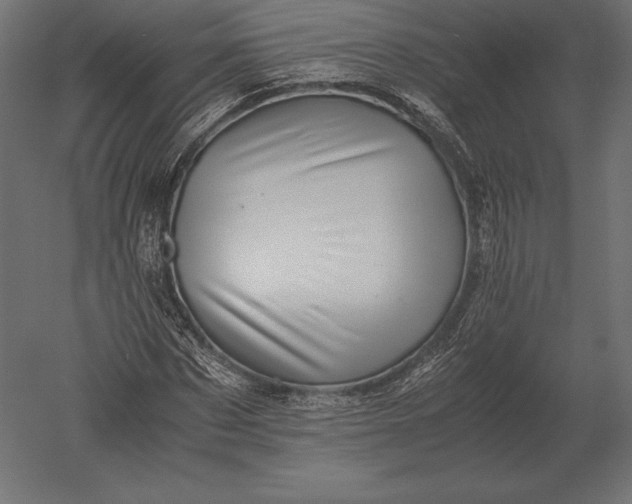 X0000051270873200507011742