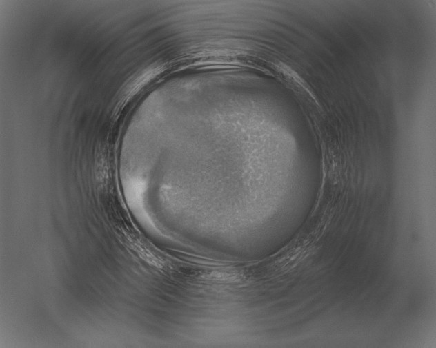 X0000051270874200507011742