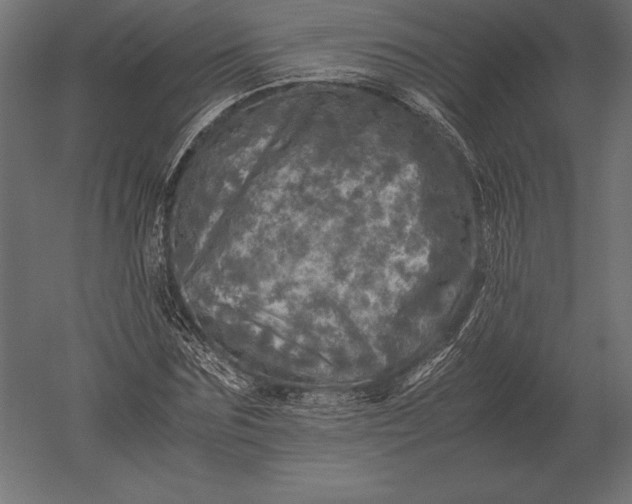 X0000051270875200507011742