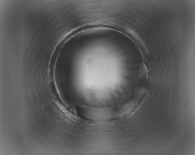 X0000051270876200507011742