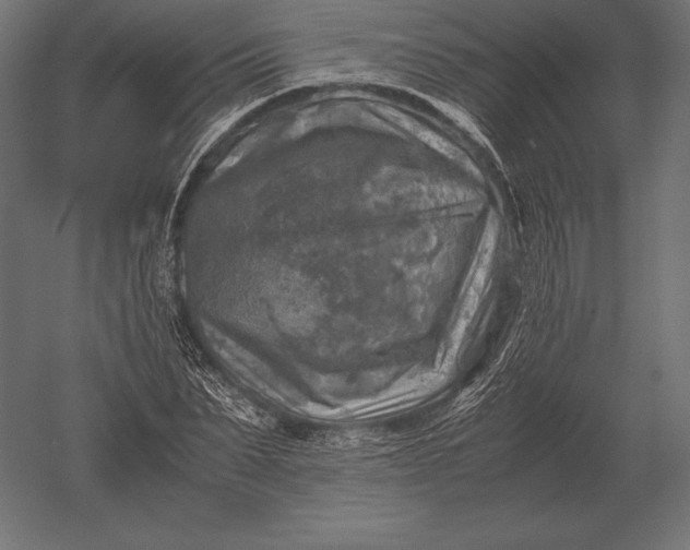X0000051270879200507011742