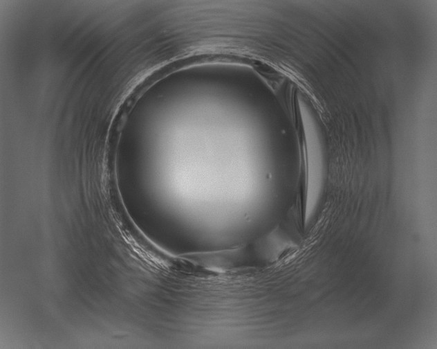 X0000051270880200507011742