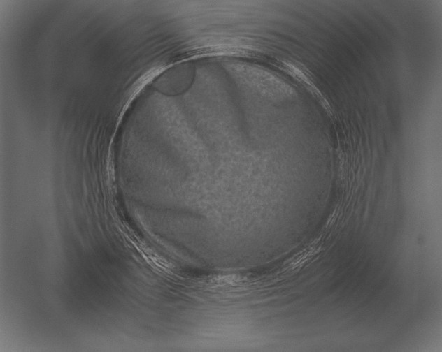 X0000051270883200507011742