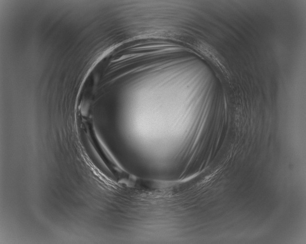 X0000051270884200507011742