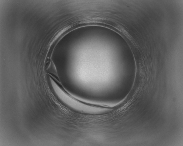 X0000051270885200507011742