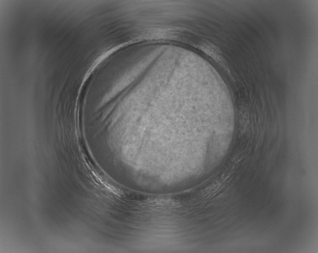 X0000051270886200507011742