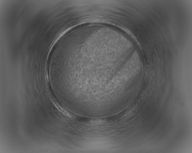 X0000051270887200507011742