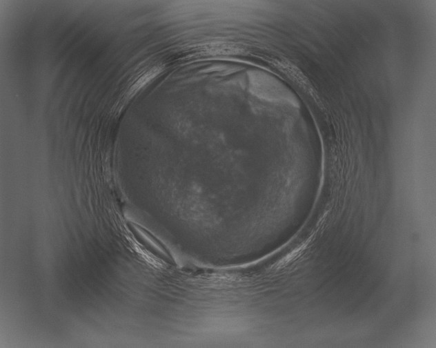 X0000051270889200507011742