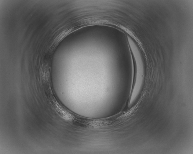 X0000051270897200507011742