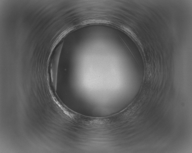 X0000051270898200507011742