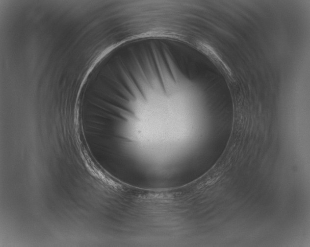 X0000051270900200507011742