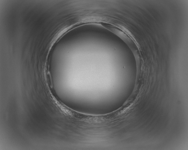 X0000051270901200507011742