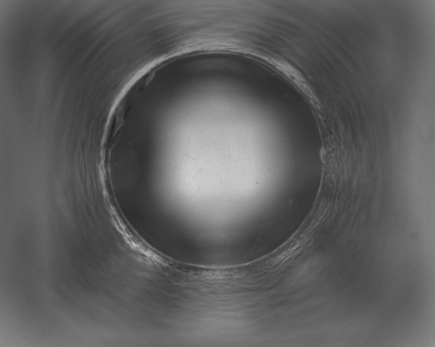 X0000051270904200507011741