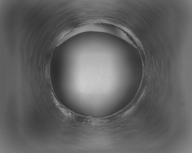 X0000051270905200507011741