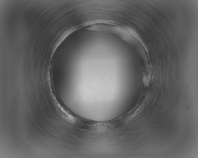 X0000051270906200507011741