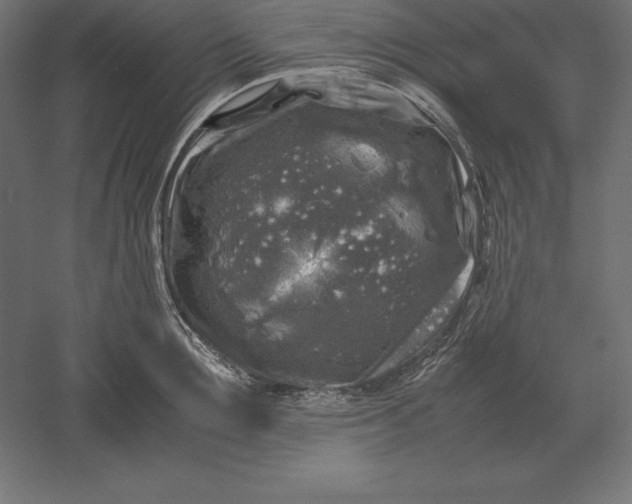 X0000051270907200507011741