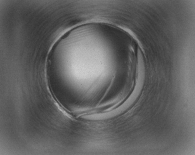 X0000051270910200507011741