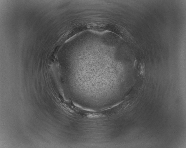 X0000051270915200507011741